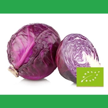 Kapusta czerwona EKO